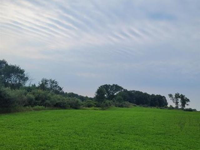 Land for sale in Marion, Michigan