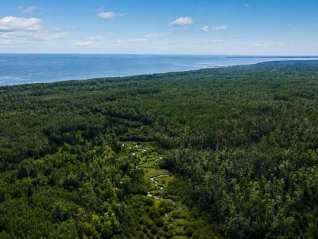 Land for sale in Millersburg, Michigan