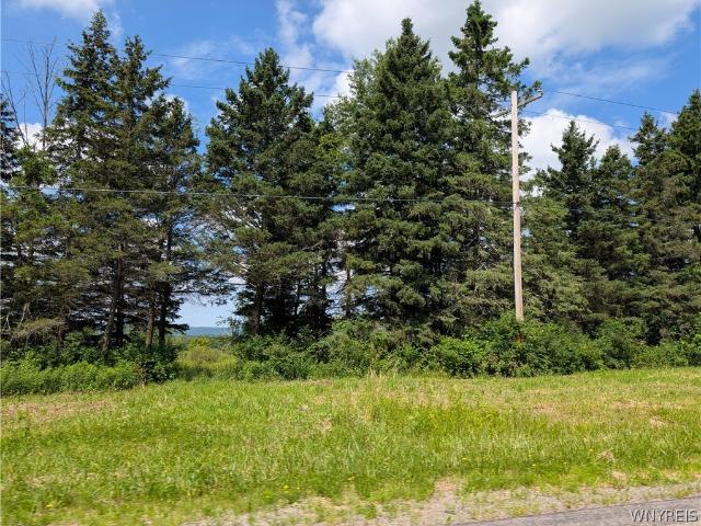 Land for sale in New York