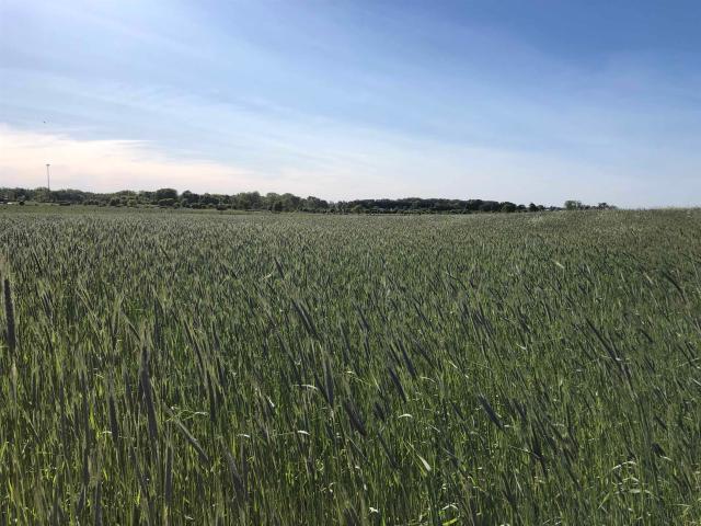 Land for sale in Isabella, Michigan