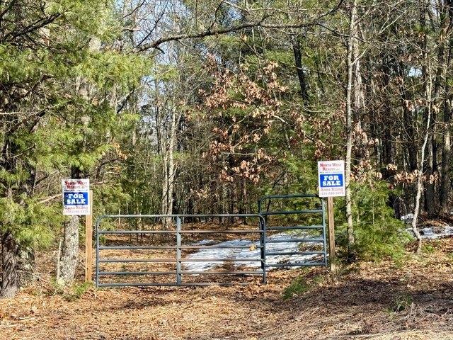 Land for sale in Baldwin, Michigan