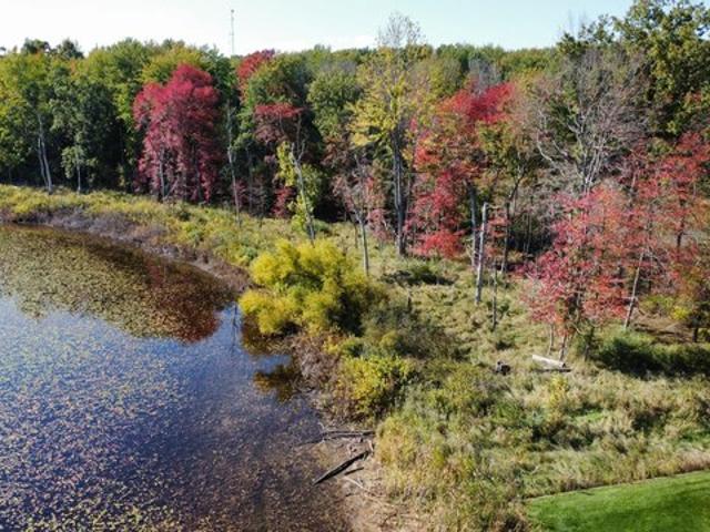 Land for sale in Paw Paw, Van Buren County