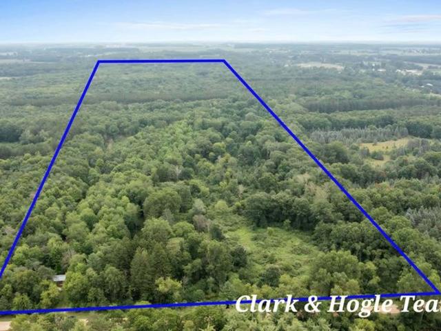 Land for sale in Ionia, Michigan