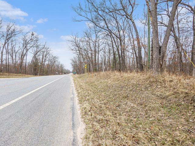 Land for sale in Brohman, Michigan