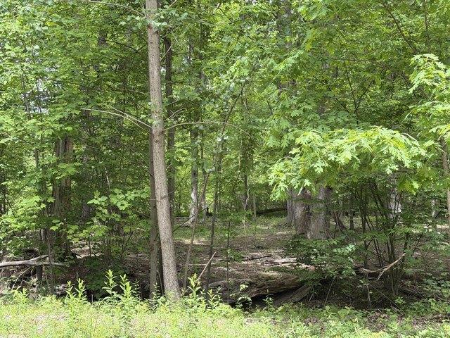 House for sale in Union Pier, New Buffalo Township