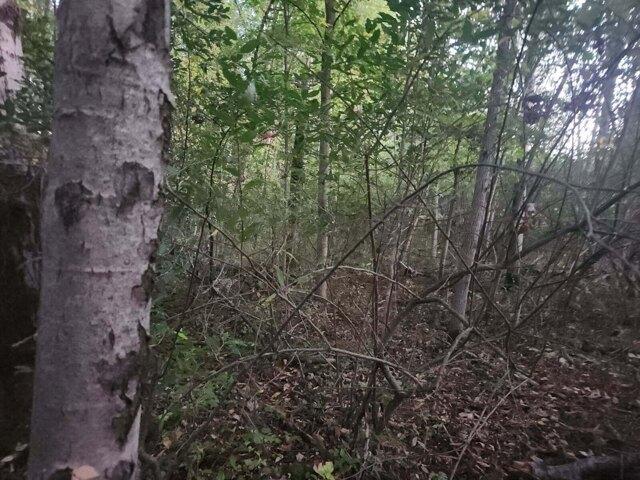 Land for sale in Shelby, Michigan