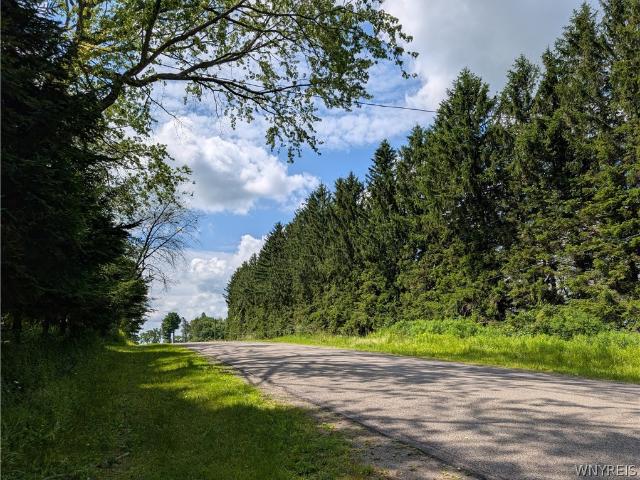 Land for sale in New York