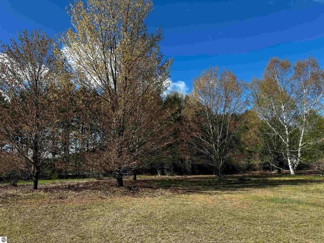 Land for sale in Alden, Michigan