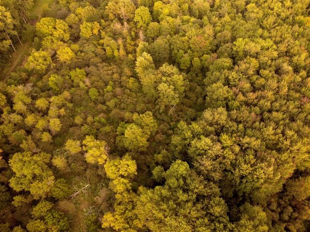 Land for sale in Holt, Michigan