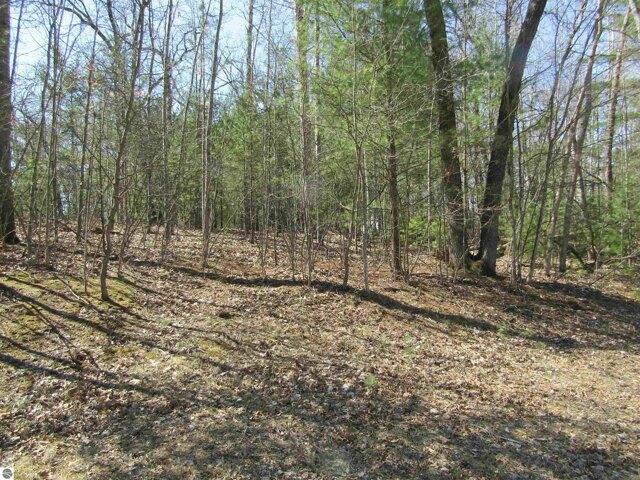 Land for sale in West Branch