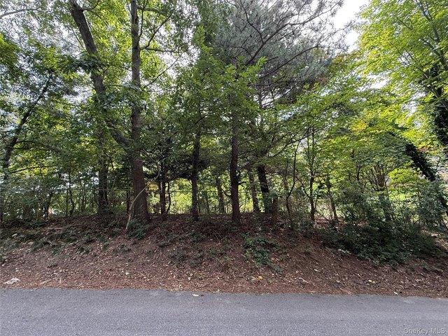 Land for sale in Centereach, New York