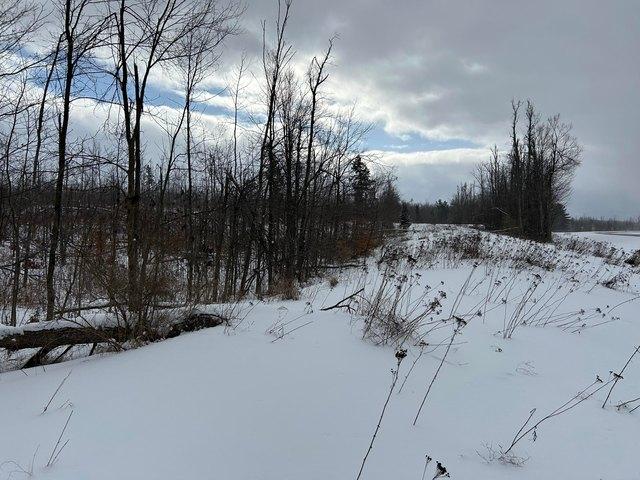 Land for sale in Hillman, Michigan