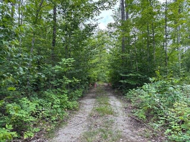 Land for sale in Presque Isle, Michigan