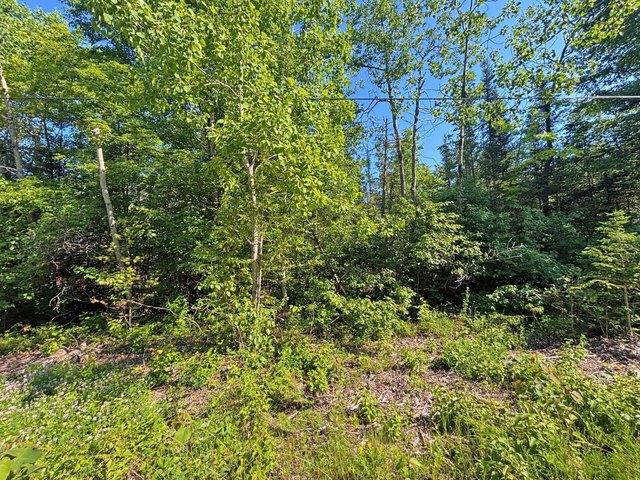 Land for sale in Presque Isle, Michigan