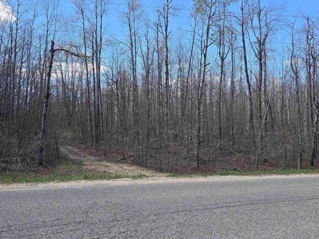 Land for sale in Mancelona, Michigan