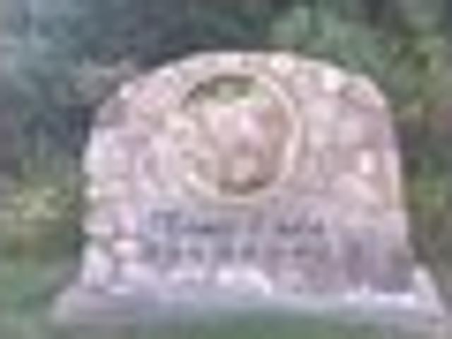 Land for sale in Grass Lake, Michigan