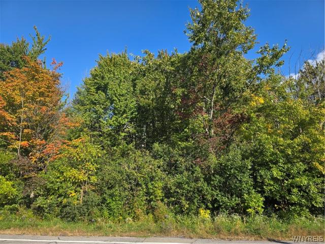 Land for sale in Town of Hamburg, Erie County