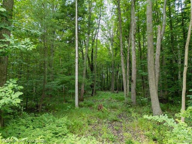 Land for sale in Michigan