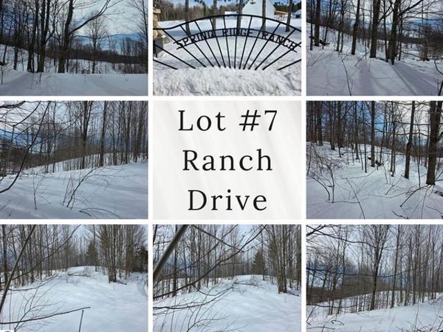 Land for sale in Bellaire, Michigan