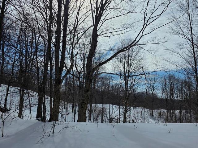 Land for sale in Michigan