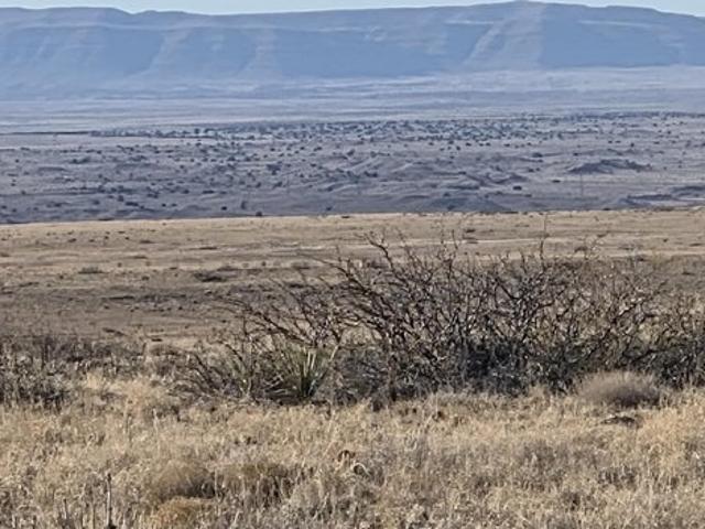 Land for sale in Magdalena, New Mexico