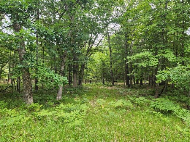 Land for sale in Baldwin, Michigan