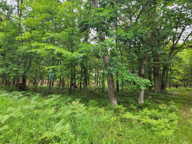 Land for sale in Michigan