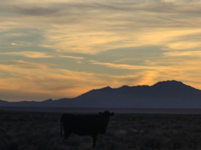Land for sale in Belen, New Mexico