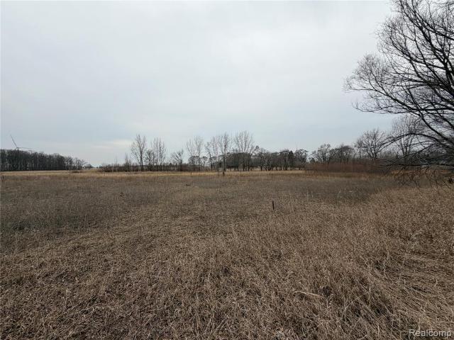 Land for sale in Tuscola, Michigan