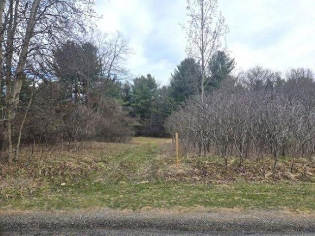 Land for sale in Carrollton, Michigan