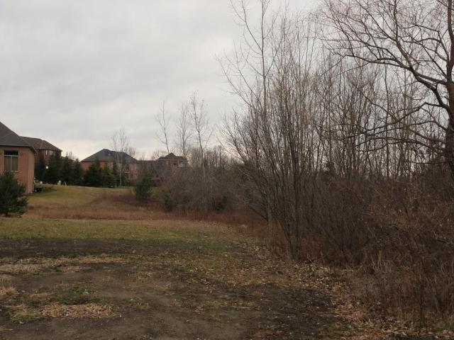 Land for sale in Davison, Michigan