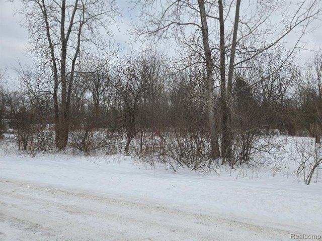 Land for sale in Burton, Michigan