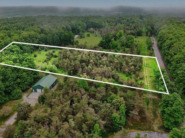 Land for sale in Good Hart, Michigan
