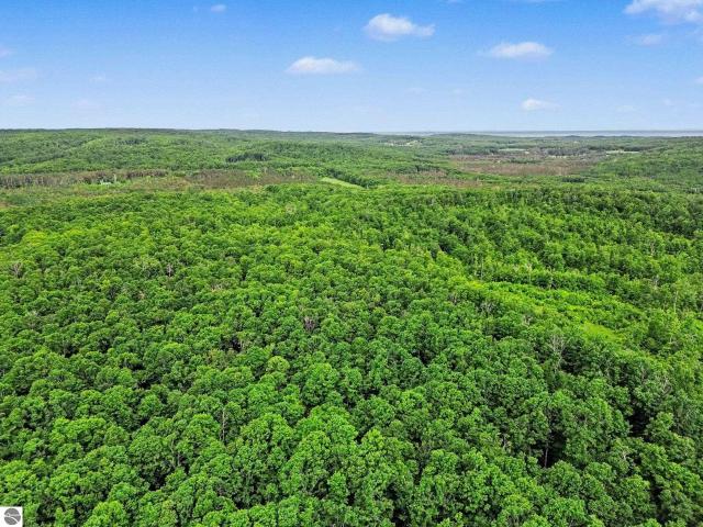 Land for sale in Good Hart, Michigan