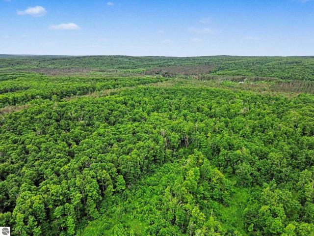 Land for sale in Good Hart, Michigan