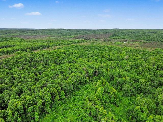 Land for sale in Good Hart, Michigan