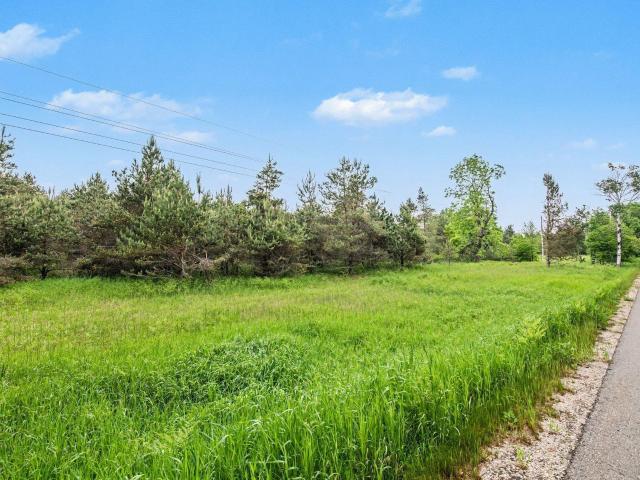 Land for sale in Good Hart, Michigan