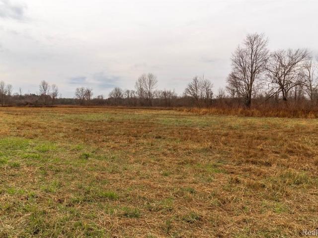 Land for sale in Lapeer, Lapeer County