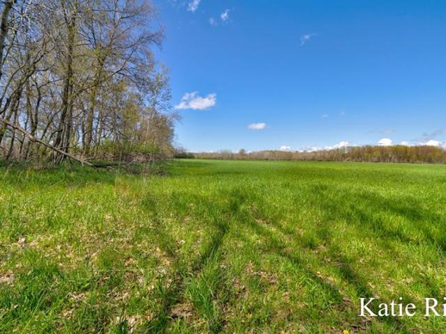 Land for sale in Rothbury, Michigan