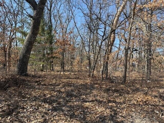 Land for sale in Baldwin, Michigan