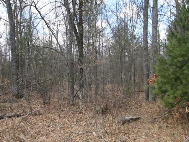 Land for sale in South Branch