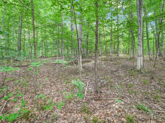Land for sale in Michigan