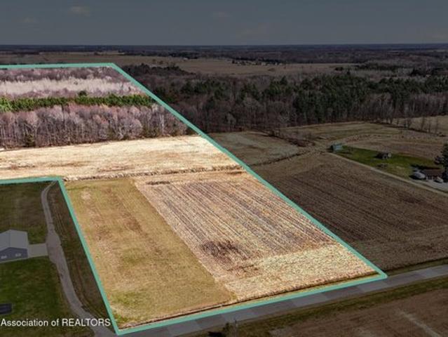 Land for sale in Merrill, Michigan