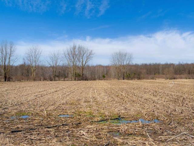 Land for sale in Michigan