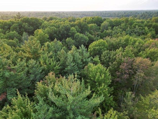 Land for sale in Alger, Michigan