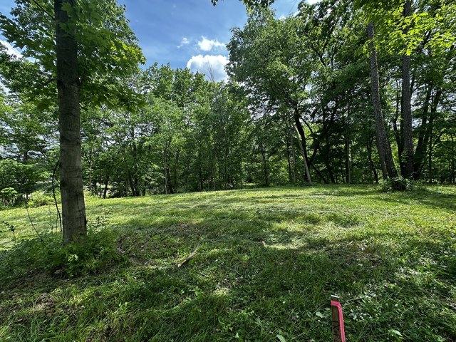 Land for sale in Delton, Michigan