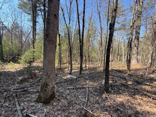 Land for sale in Baldwin, Michigan
