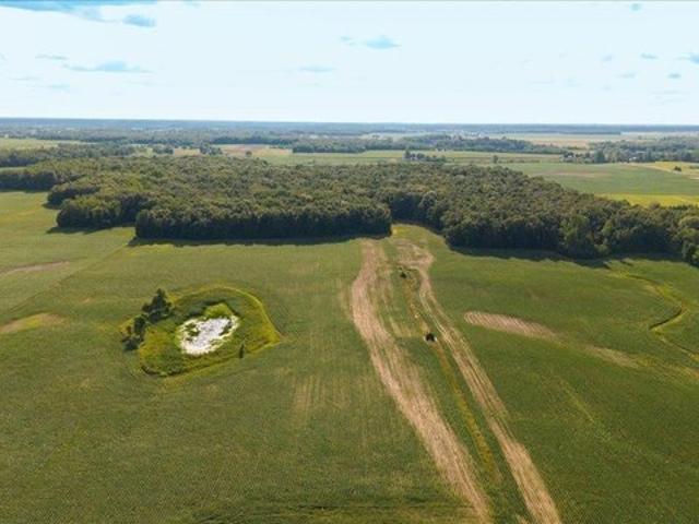 Land for sale in Hillsdale, Michigan