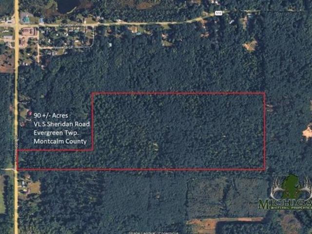 Land for sale in Sheridan, Michigan
