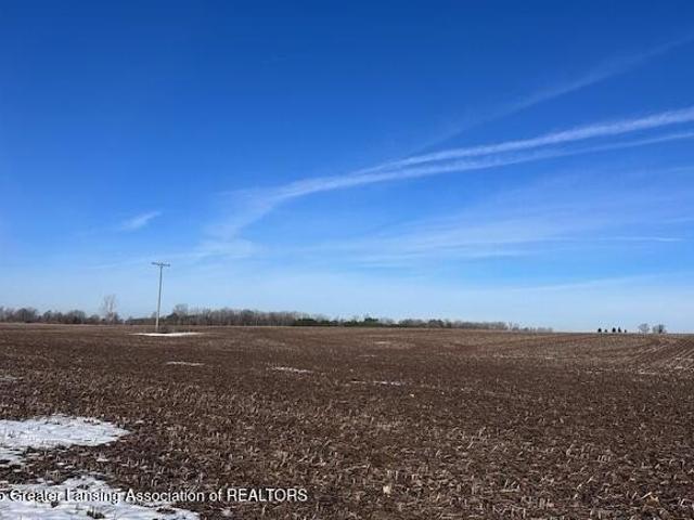 Land for sale in Saint Johns, Michigan